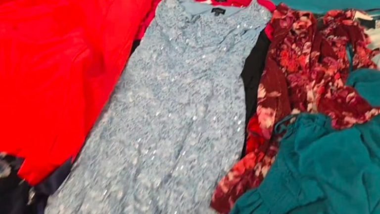 Wholesale Lot Of 74 Brand New Women’s Dresses By Calvin Klein, DKNY, R & M Richards, Tommy Hilfiger, Kasper, And More – Assorted Sizes – Original Retail Prices To $180 Each – Your Price Is Only $15 Each – Free Shipping